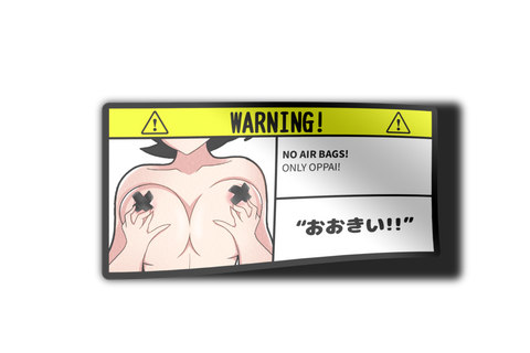 No Air Bag Warning